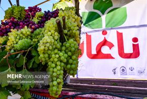 جشنواره گردشگری انگور در شهر ناغان