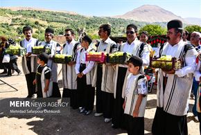 جشنواره گردشگری انگور در شهر ناغان