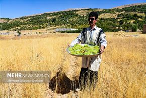 جشنواره گردشگری انگور در شهر ناغان