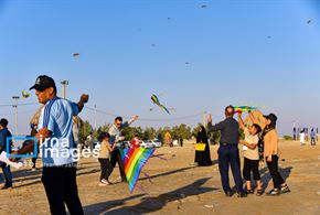  جشنواره بادبادک ها در بوشهر