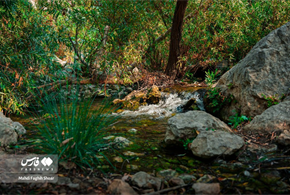  طبیعت خاییز تنگستان