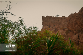  طبیعت خاییز تنگستان