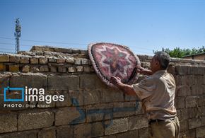 نمد مالی