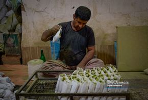  آیین کهن «حنا سابی» در یزد