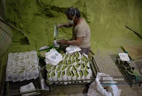  آیین کهن «حنا سابی» در یزد