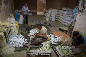  آیین کهن «حنا سابی» در یزد