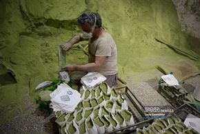  آیین کهن «حنا سابی» در یزد