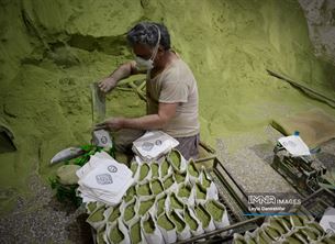  آیین کهن «حنا سابی» در یزد