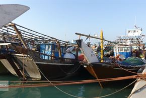 لنج‌ها، نماد کهن دریانوردی جنوب ایران‌